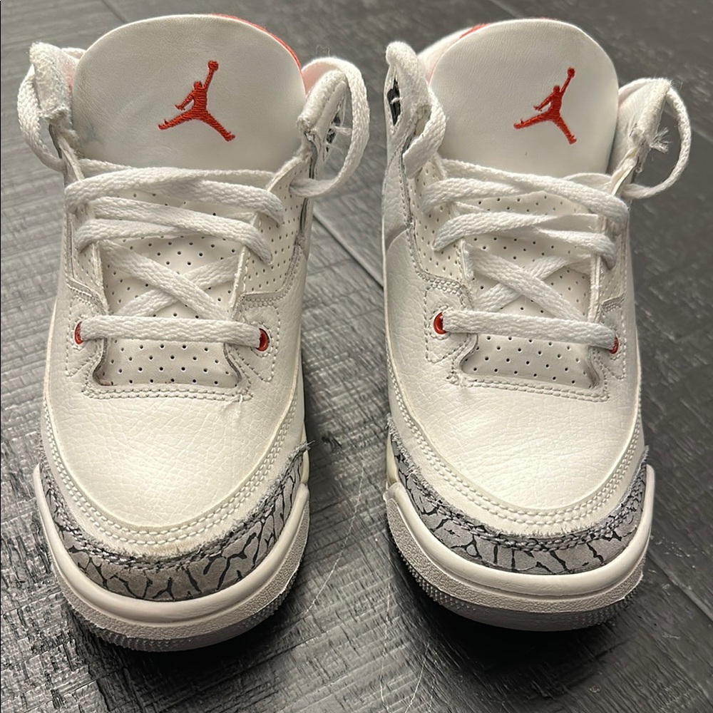 Air Jordan 3s 13C